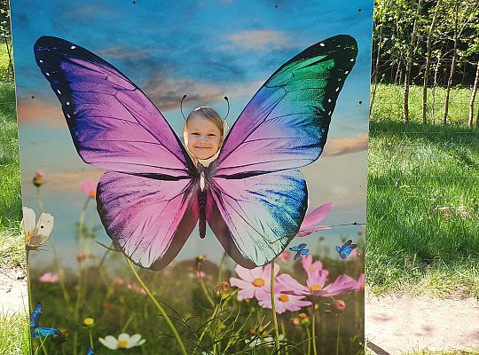 Gr. IV Wycieczka do Stryszej Budy