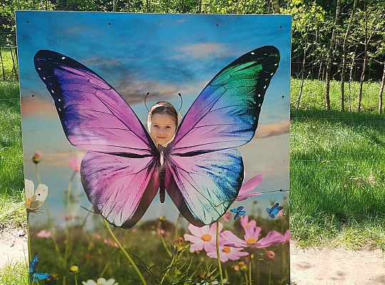 Gr. IV Wycieczka do Stryszej Budy