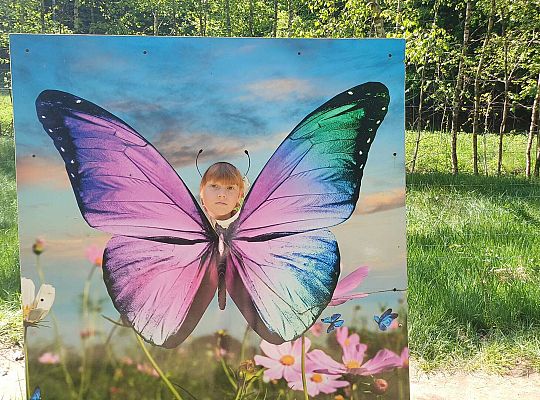 Gr. IV Wycieczka do Stryszej Budy