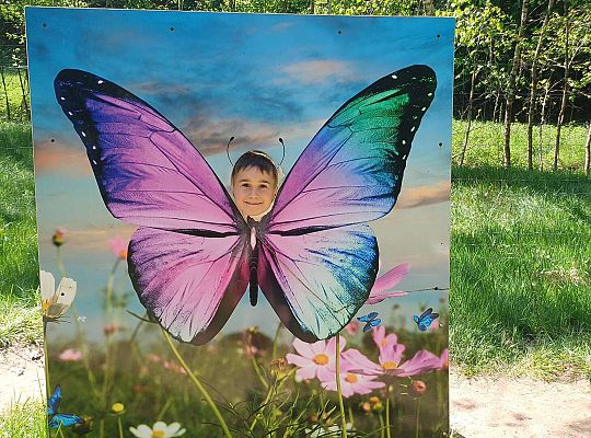 Gr. IV Wycieczka do Stryszej Budy