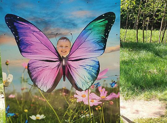 Gr. IV Wycieczka do Stryszej Budy