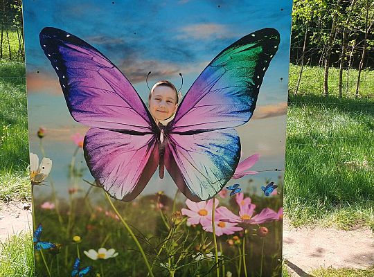 Gr. IV Wycieczka do Stryszej Budy