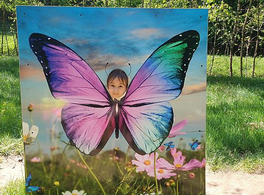 Gr. IV Wycieczka do Stryszej Budy