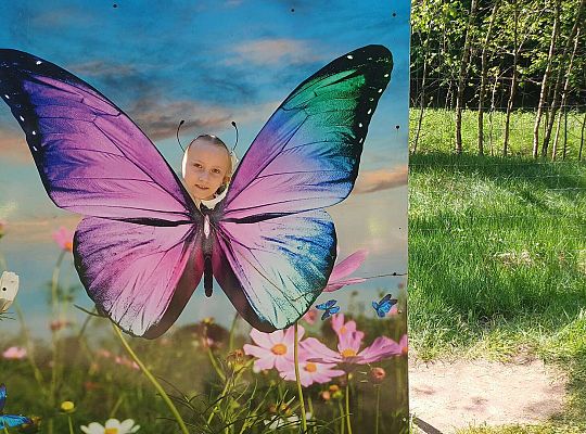 Gr. IV Wycieczka do Stryszej Budy