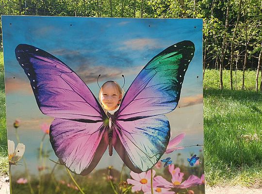 Gr. IV Wycieczka do Stryszej Budy