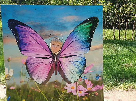 Gr. IV Wycieczka do Stryszej Budy