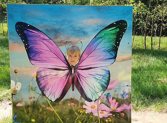 Gr. IV Wycieczka do Stryszej Budy