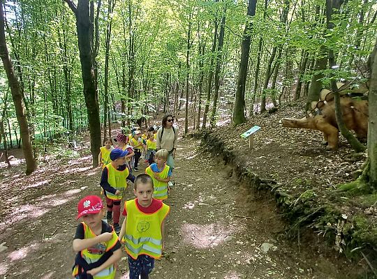 Gr. IV Wycieczka do Stryszej Budy