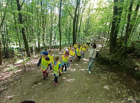 Gr. IV Wycieczka do Stryszej Budy