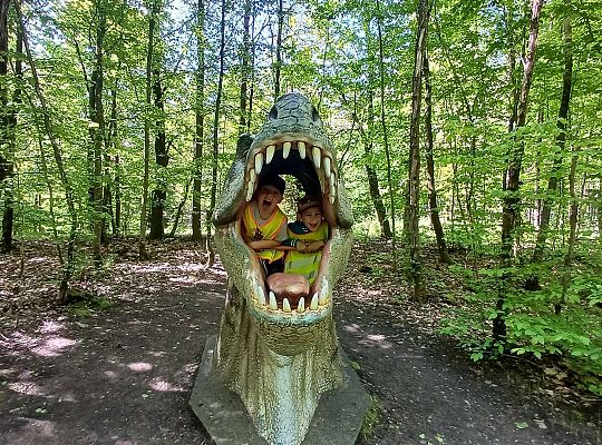 Gr. IV Wycieczka do Stryszej Budy