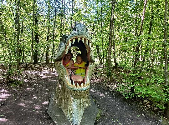 Gr. IV Wycieczka do Stryszej Budy