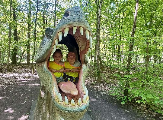 Gr. IV Wycieczka do Stryszej Budy