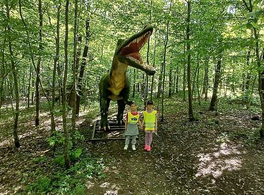 Gr. IV Wycieczka do Stryszej Budy