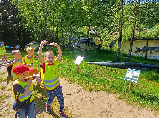 Gr. IV Wycieczka do Stryszej Budy