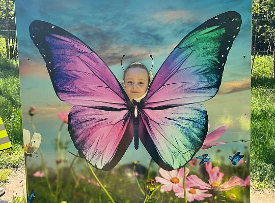 Gr. III Wycieczka do Stryszej Budy