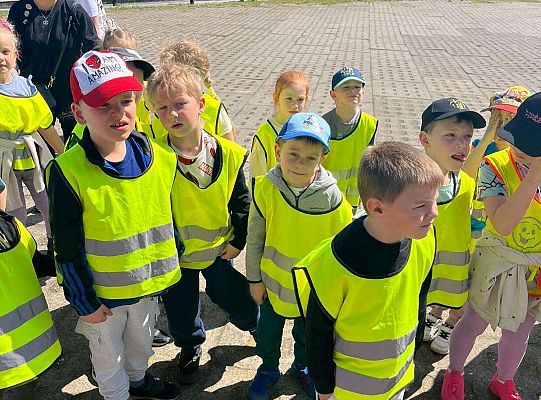 Gr. III Wycieczka do Stryszej Budy