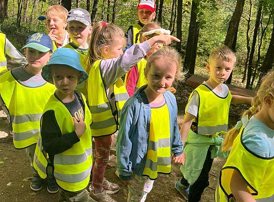 Gr. III Wycieczka do Stryszej Budy