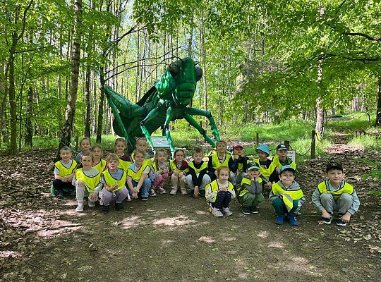 Gr. III Wycieczka do Stryszej Budy