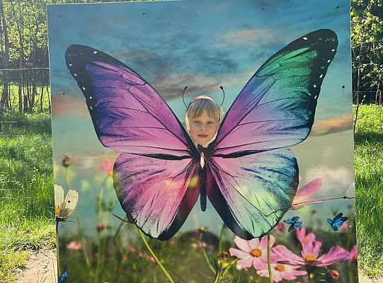 Gr. III Wycieczka do Stryszej Budy