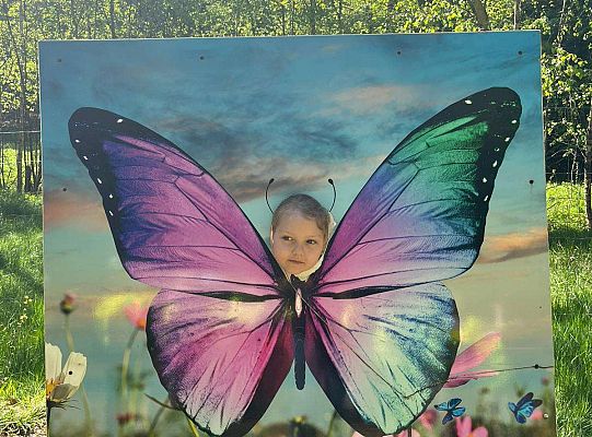 Gr. III Wycieczka do Stryszej Budy