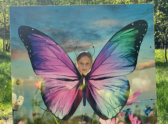 Gr. III Wycieczka do Stryszej Budy