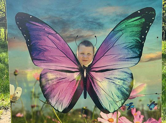 Gr. III Wycieczka do Stryszej Budy