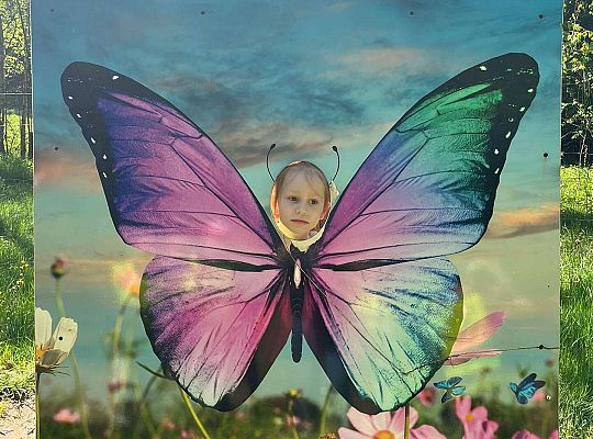 Gr. III Wycieczka do Stryszej Budy