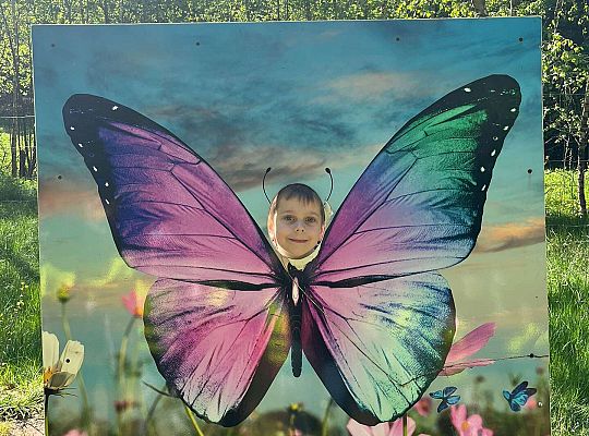 Gr. III Wycieczka do Stryszej Budy