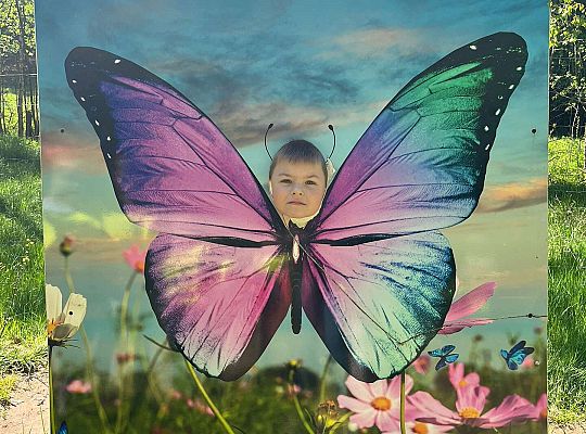 Gr. III Wycieczka do Stryszej Budy