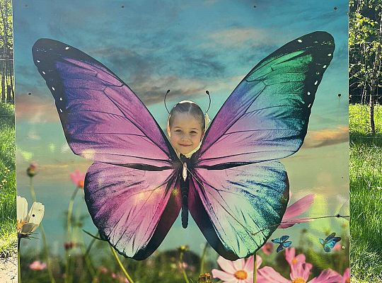 Gr. III Wycieczka do Stryszej Budy