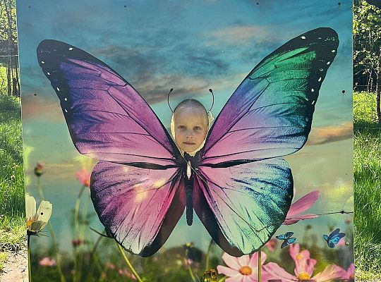 Gr. III Wycieczka do Stryszej Budy