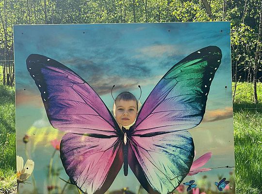 Gr. III Wycieczka do Stryszej Budy