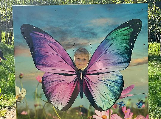 Gr. III Wycieczka do Stryszej Budy