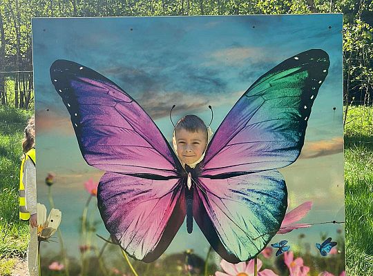 Gr. III Wycieczka do Stryszej Budy