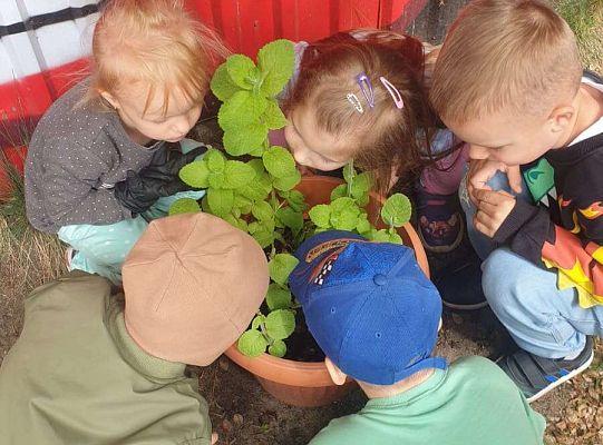 Gr.I Maluszki upiększają nasz ogród