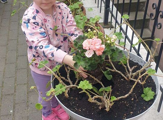 Gr.I Maluszki upiększają nasz ogród