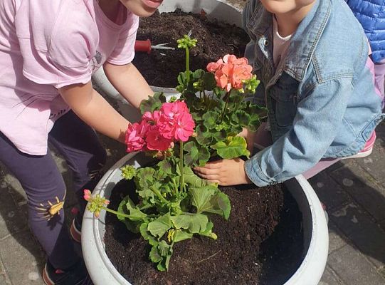 Gr.I Maluszki upiększają nasz ogród