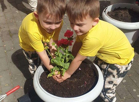 Gr.I Maluszki upiększają nasz ogród