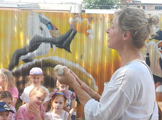 Gr. III I IV  Ptactwo hodowlane w naszym przedszkolu