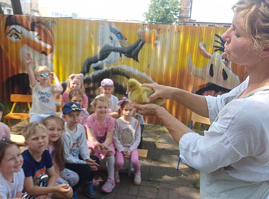 Gr. III I IV  Ptactwo hodowlane w naszym przedszkolu