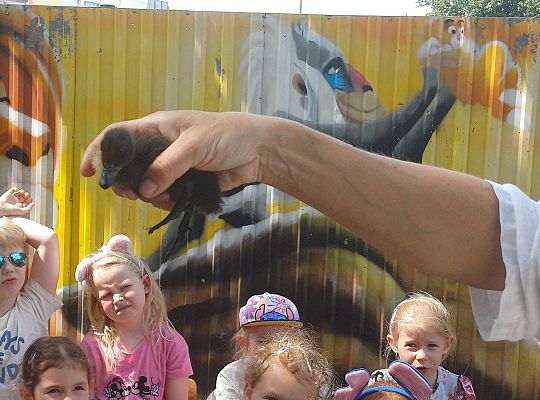 Gr. III I IV  Ptactwo hodowlane w naszym przedszkolu