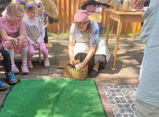 Gr. III I IV  Ptactwo hodowlane w naszym przedszkolu