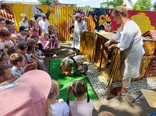 Gr. III I IV  Ptactwo hodowlane w naszym przedszkolu