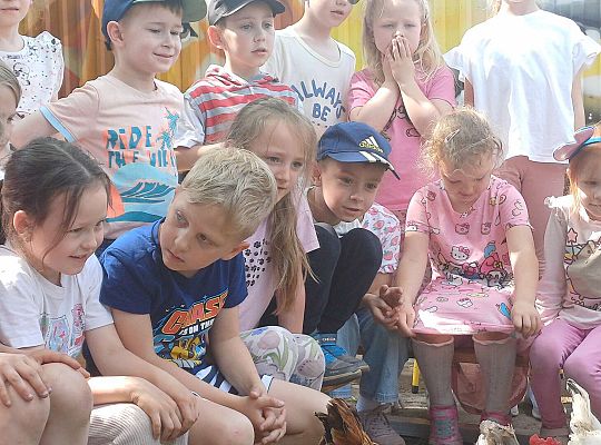 Gr. III I IV  Ptactwo hodowlane w naszym przedszkolu