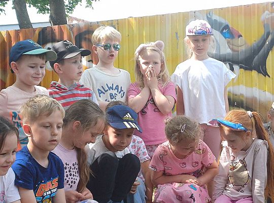 Gr. III I IV  Ptactwo hodowlane w naszym przedszkolu