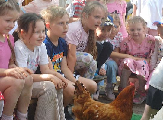 Gr. III I IV  Ptactwo hodowlane w naszym przedszkolu