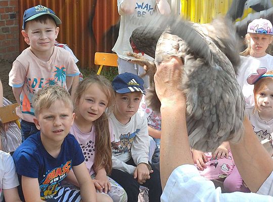 Gr. III I IV  Ptactwo hodowlane w naszym przedszkolu