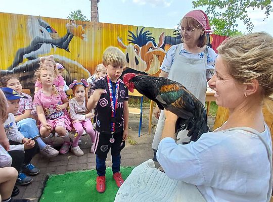 Gr. III I IV  Ptactwo hodowlane w naszym przedszkolu