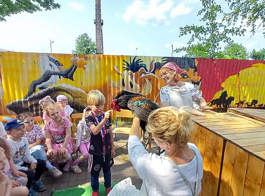 Gr. III I IV  Ptactwo hodowlane w naszym przedszkolu