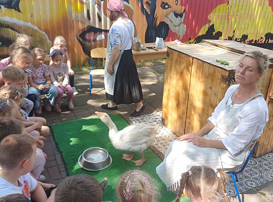 Gr. III I IV  Ptactwo hodowlane w naszym przedszkolu